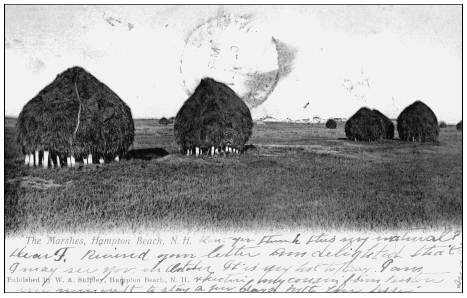 This 1906 postcard shows the harvested hay piled high on stakes or staddles - photo 10