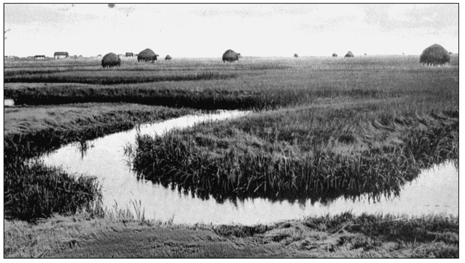 This view of the marshes from the first decade of the 20th century shows the - photo 12