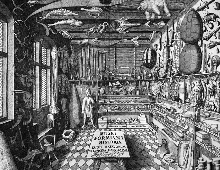 Figure 12 A 1655 cabinet of wonderfrontispiece from Museum Wormianum by Danish - photo 3