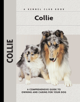 Moore Collie