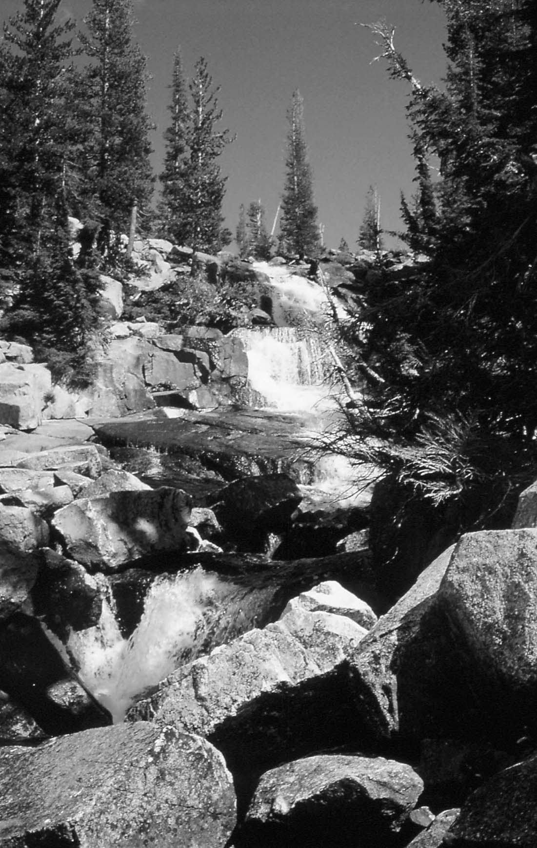 Sierra North Backcountry Trips in Californias Sierra Nevada 1st EDITION May - photo 2