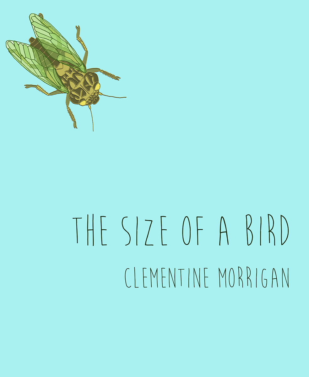 THE SIZE OF A BIRD Copyright 2017 Clementine Morrigan Except for the use of - photo 1