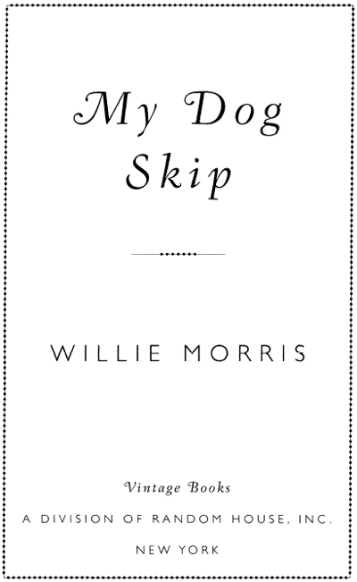 My Dog Skip - image 2