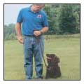 Begin with the basics of training the puppy and adult dog Learn the principles - photo 8