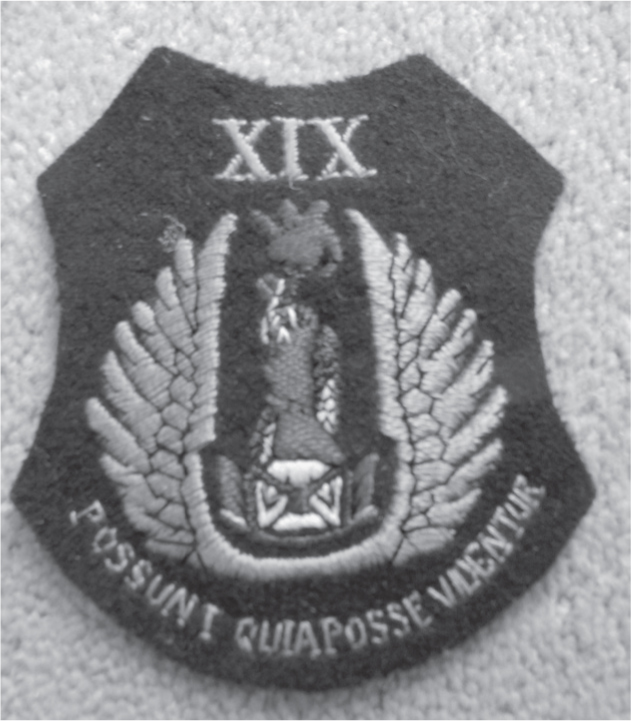 The 19 Fighter Squadron badge of Sergeant Bernard Jimmy Jennings Trenchard - photo 5