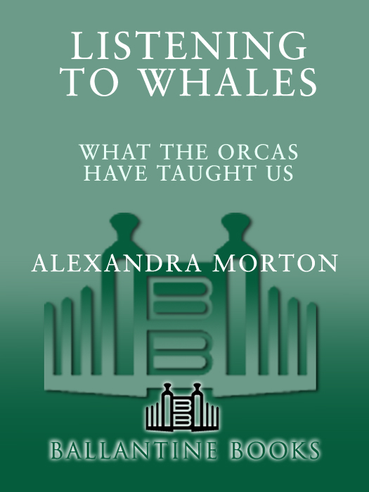 FASCINATING Mortons writing reflects a deep respect for whales in general - photo 1