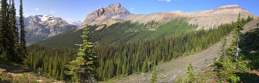 More than 4 billion years of geologic history have shaped the North American - photo 3