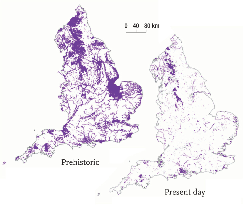 FIG 2 Distribution of wetlands in England in the prehistoric period about - photo 2