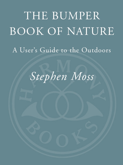 The Bumper Book of Nature - photo 1