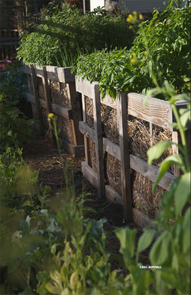 Stand Up and Garden MARY MOSS-SPRAGUE THE COUNTRYMAN PRESS WOODSTOCK VT - photo 1