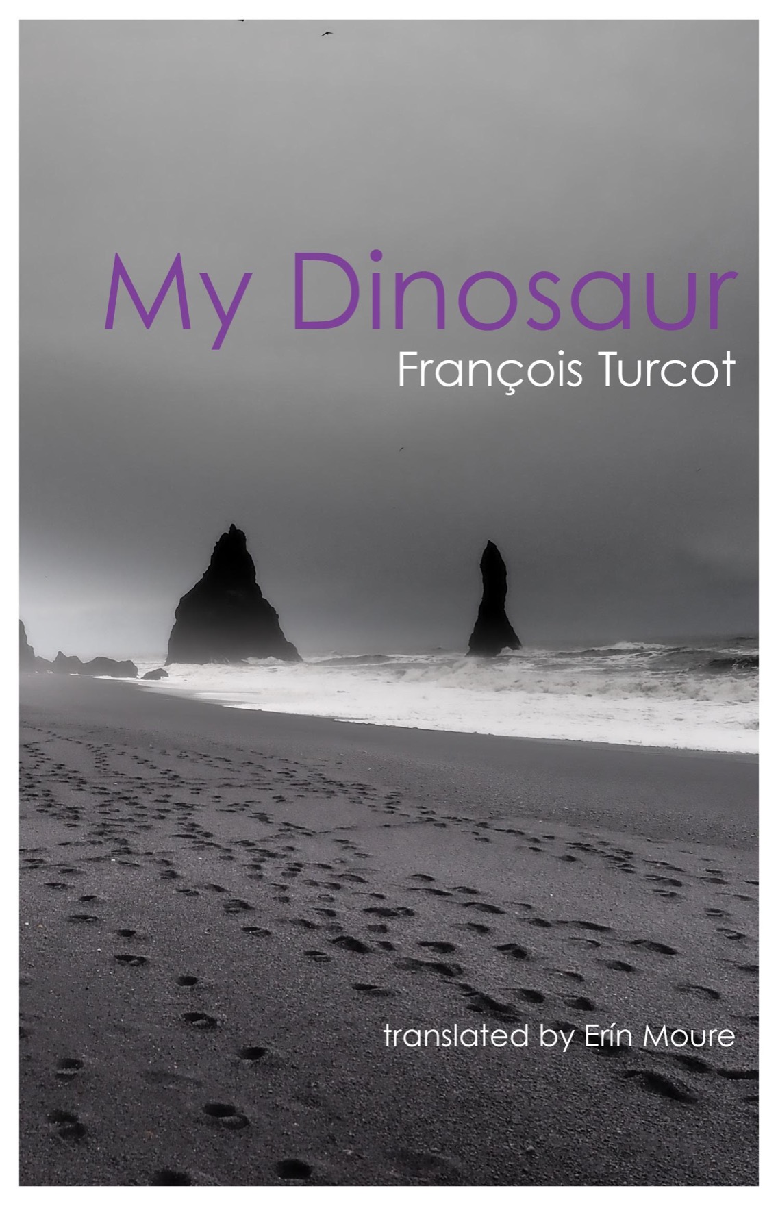 MY DINOSAUR My Dinosaur Franois Turcot translated by Ern Moure BookThug 2016 - photo 1