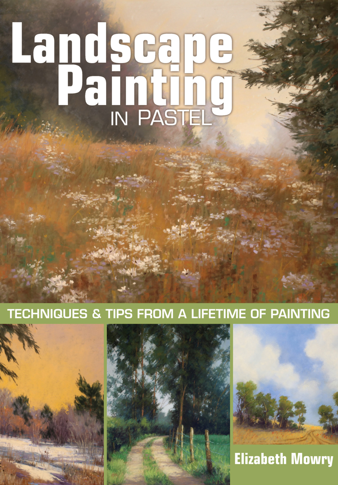 Landscape Painting in Pastel Techniques and Tips from a Lifetime of Painting - photo 1