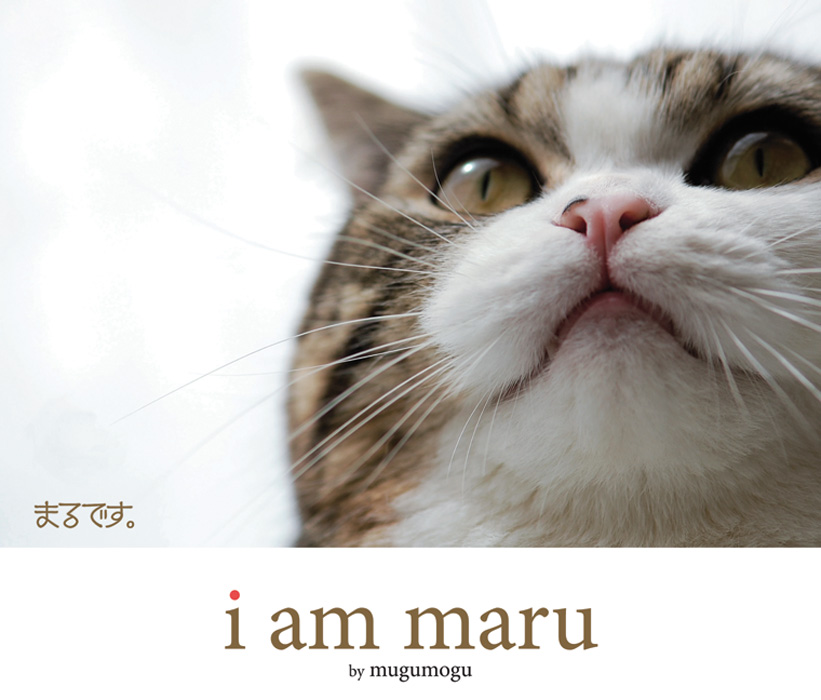 I Am Maru - image 1