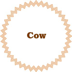 A most useful animal the cow is raised for both meat and milk as well as for - photo 7