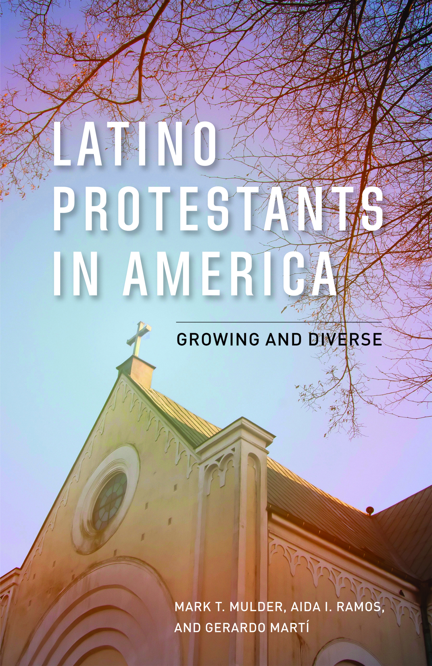 Preface Latino Protestantism stands as a vigorous outlier of religious growth - photo 2