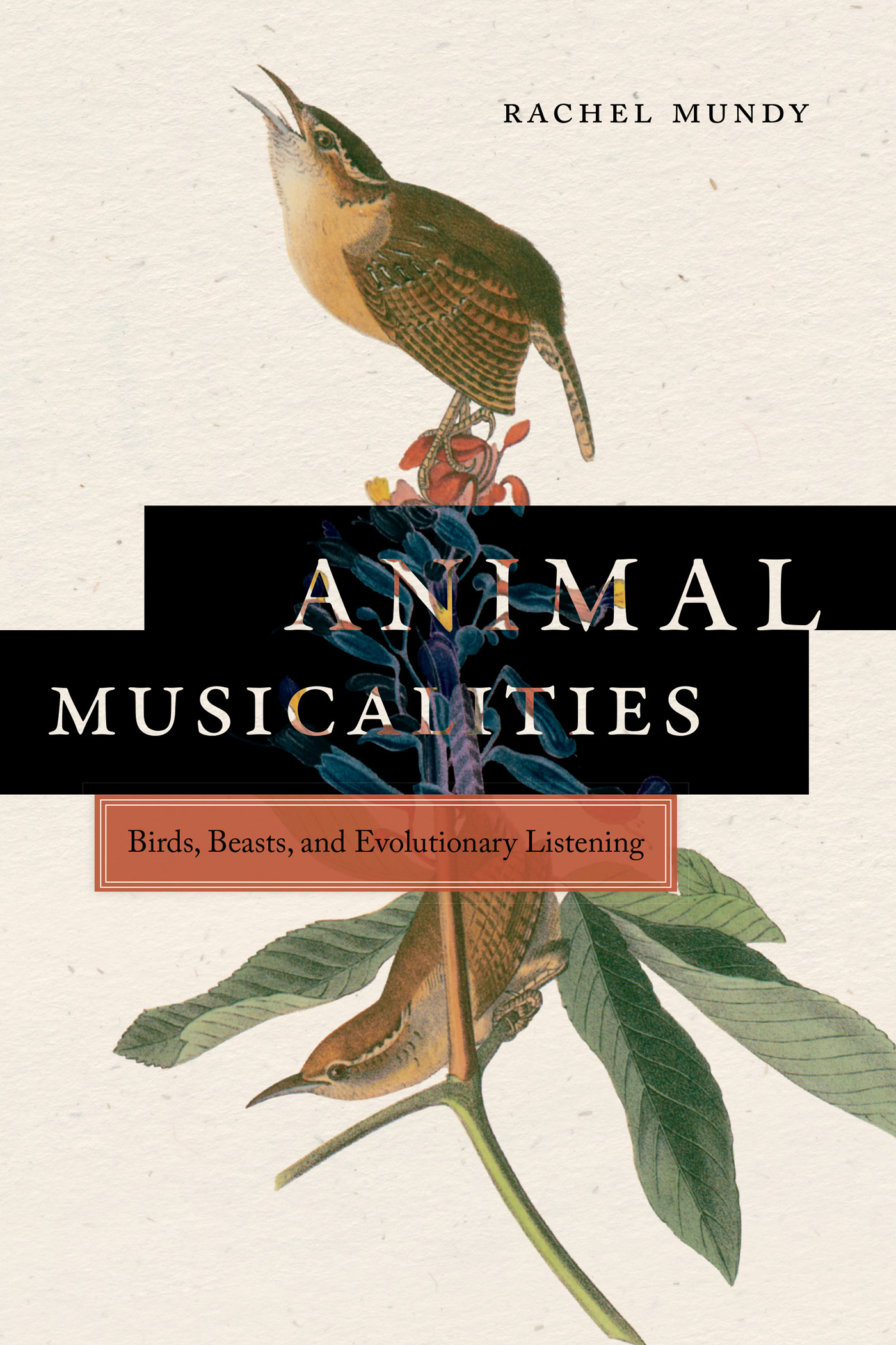 Animal Musicalities Rachel Mundy ANIMAL MUSICALITIES Birds Beasts and - photo 1