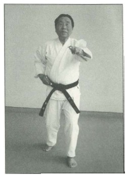 Step to the east with the left foot and perform a left reverse sai - photo 11