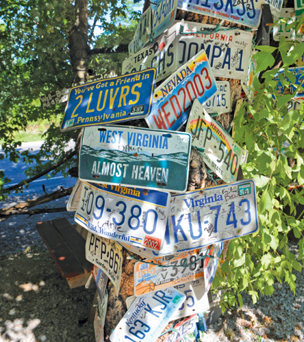 Yall Ive eaten my way across the South Ive pigged out at barbecue shacks - photo 4