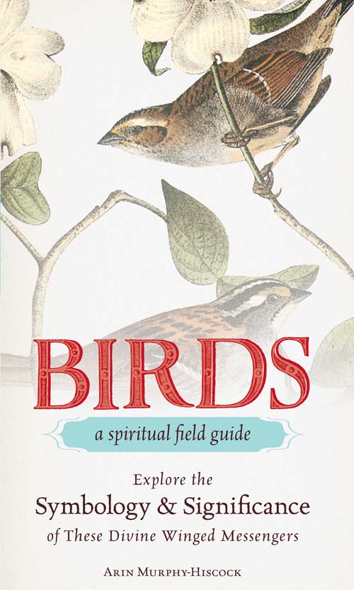 Birds--A Spiritual Field Guide - image 1