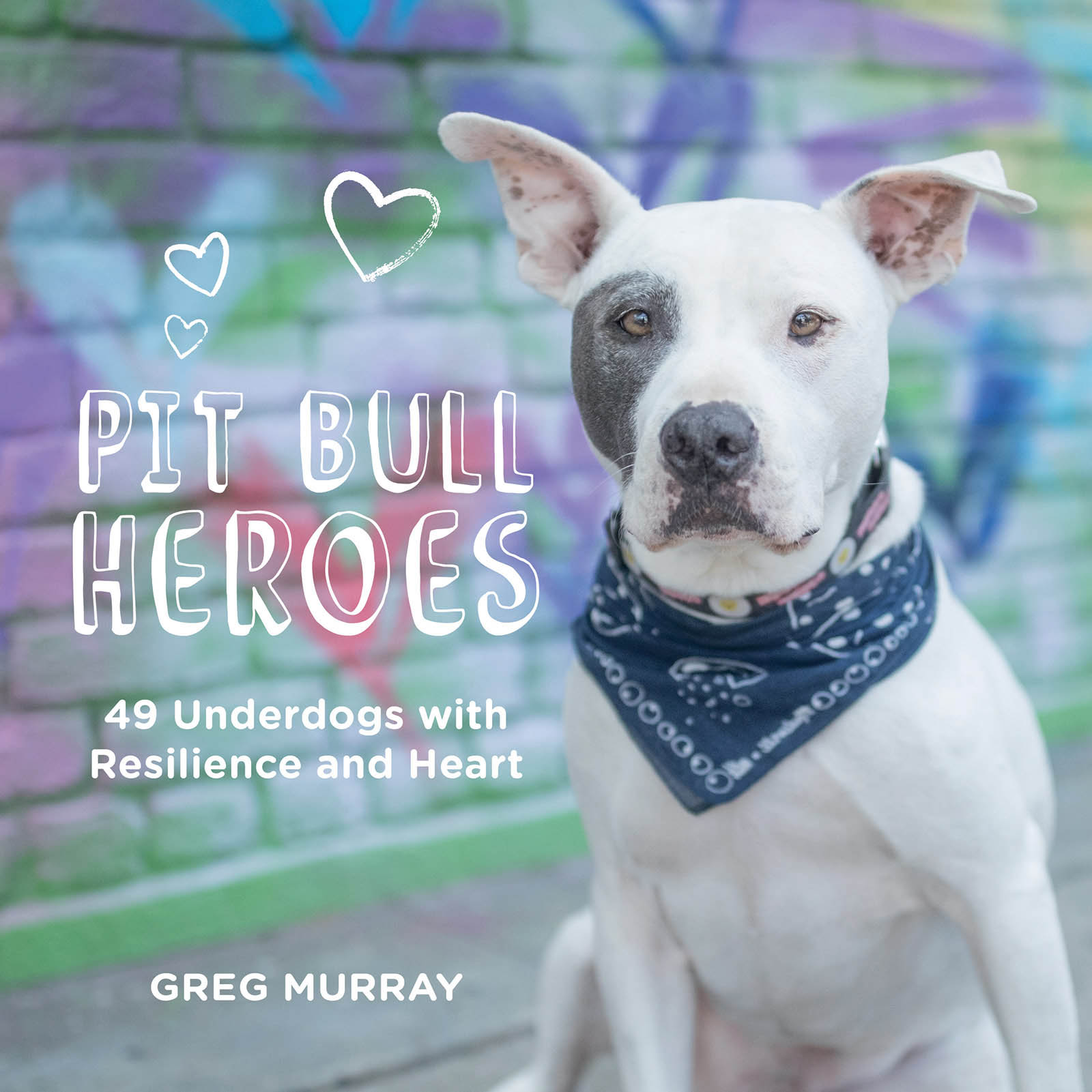 Pit Bull Heroes 49 Underdogs with Resilience and Heart Greg Murray Digital - photo 1