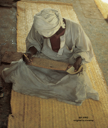 Figs Dates Laurel and Myrrh Plants of the Bible and the Quran LYTTON - photo 1