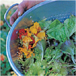 Mustards Grill Napa Valley Cookbook - image 10