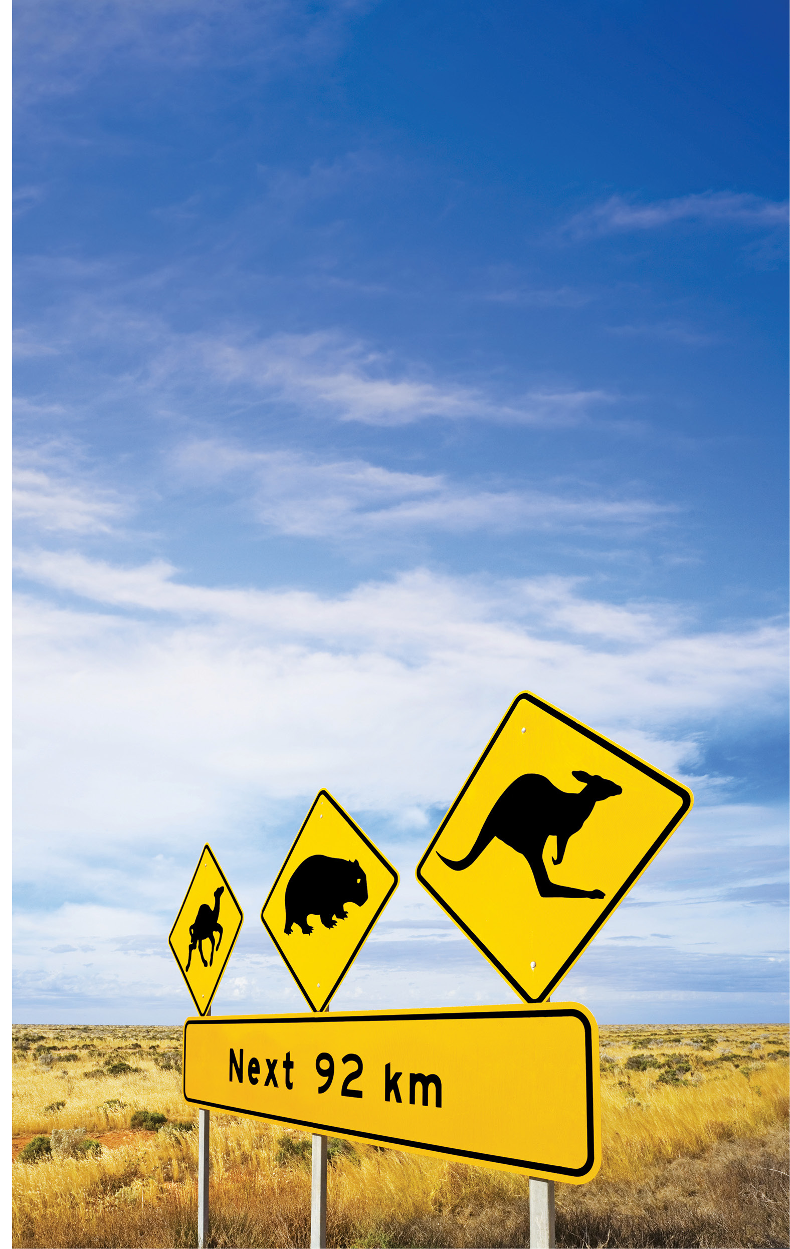 A road sign in South Australia warns motorists of camels wombats and - photo 5