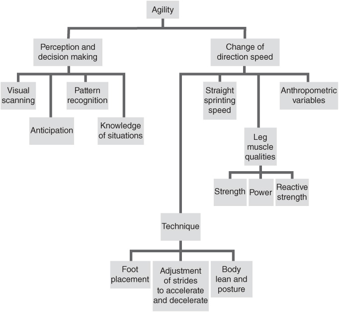 Figure 1 Components of agility Adapted by permission from WB Young R - photo 3