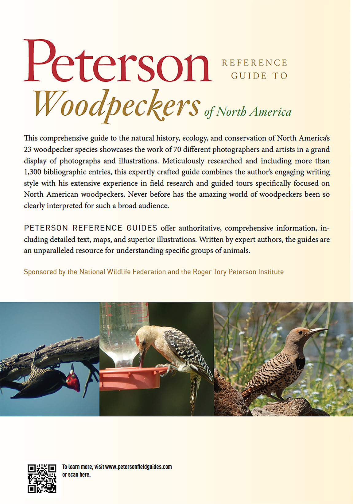 ANATOMY AND ADAPTATION For centuries the anatomy of woodpeckers has - photo 4