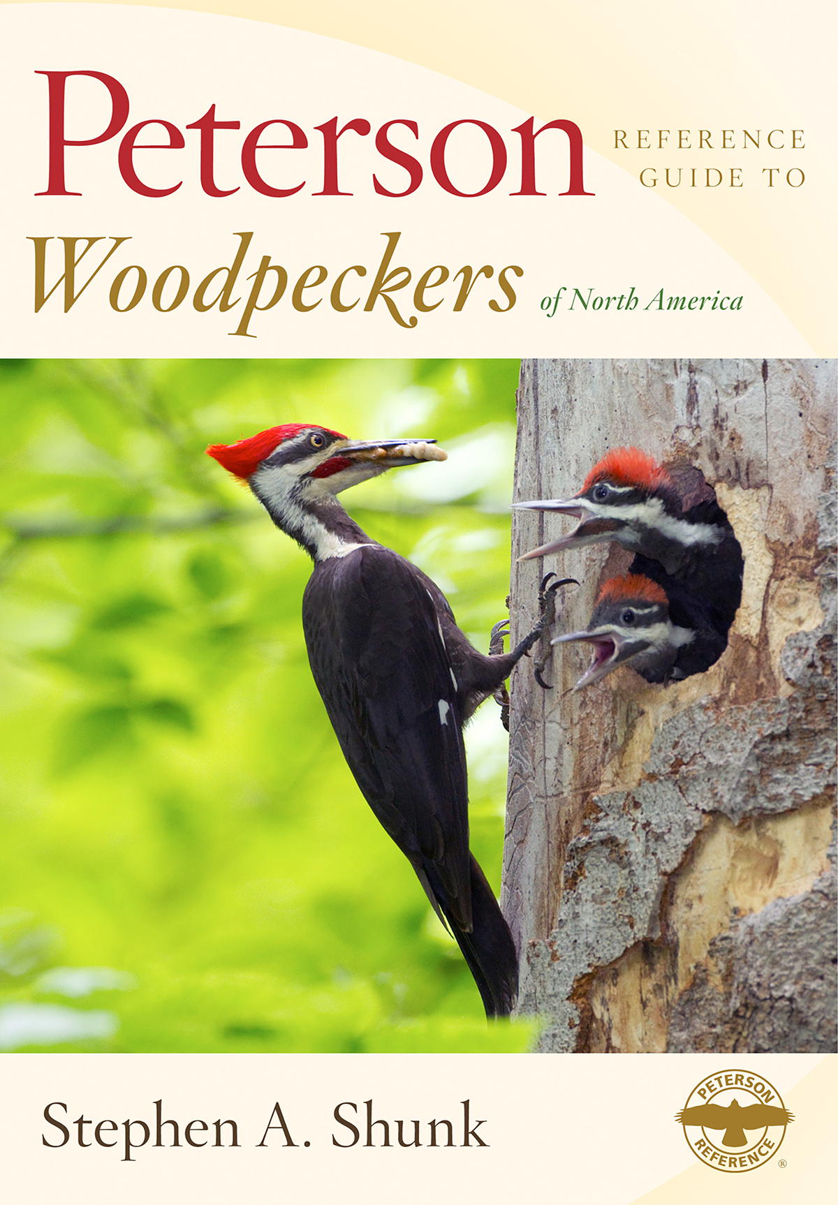 ANATOMY AND ADAPTATION For centuries the anatomy of woodpeckers has c - photo 1