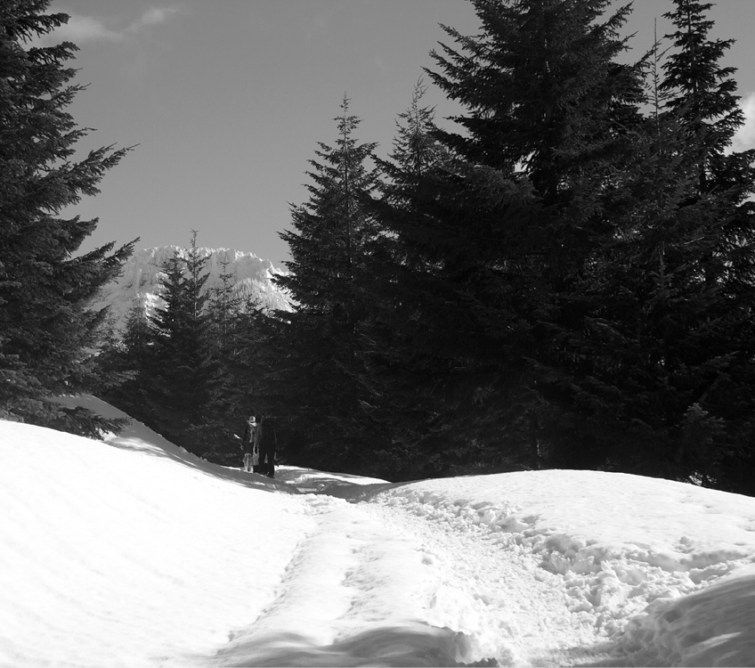 View from the trail up Mount Margaret Route 59 PREFACE In the mid-1990s the - photo 12