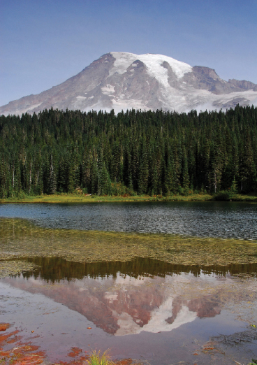 Fog lifts to allow enjoyment of the reflection at Reflection Lakes DAY - photo 11