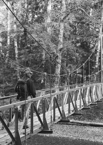 Dennis crosses the Ohanapecosh River suspension bridge to access the Grove of - photo 21