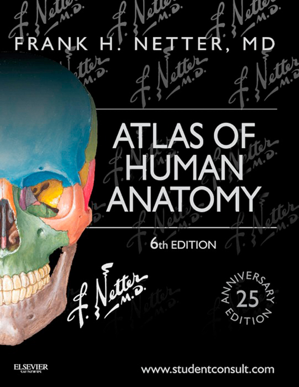 Atlas of Human Anatomy Sixth Edition Frank H Netter MD Bonus Plates - photo 1