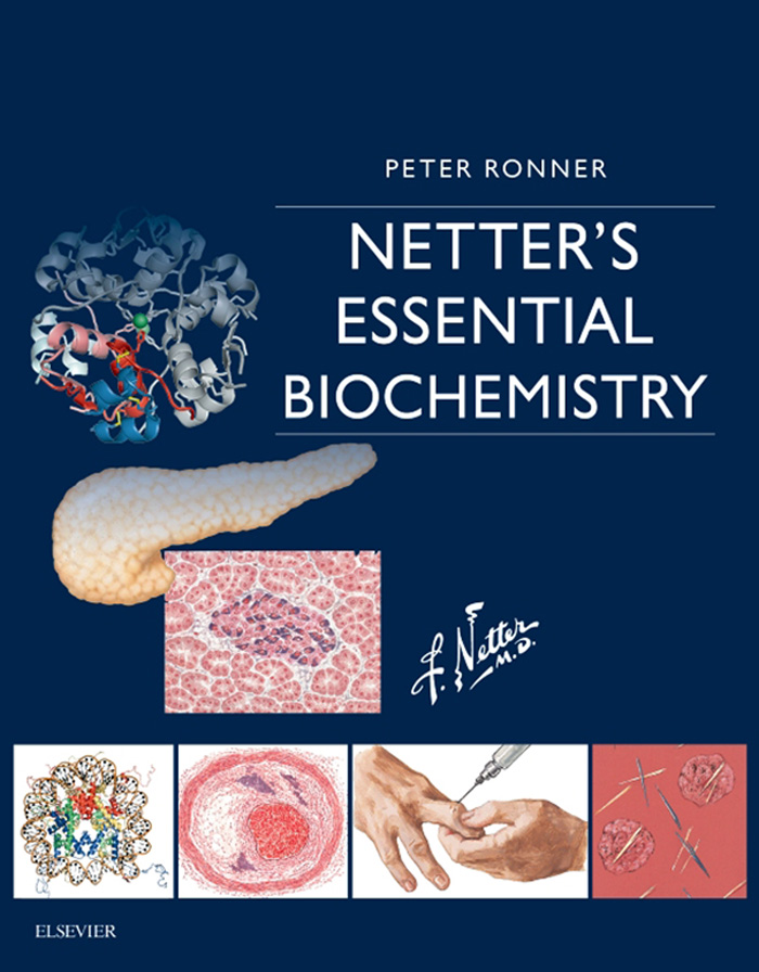 Netters Essential Biochemistry PETER RONNER PhD Professor of Biochemistry - photo 1