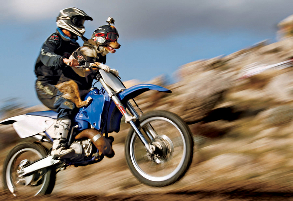 Opee and Mike Schelin go airborne They both love to ride Mikes dirt bike - photo 4