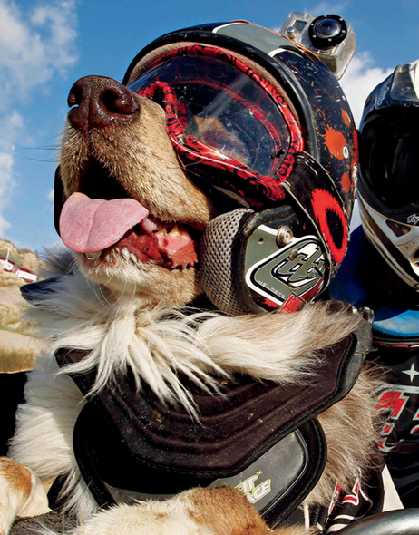 Ready to ride Opee pants with excitement His helmet has a camera on top - photo 5