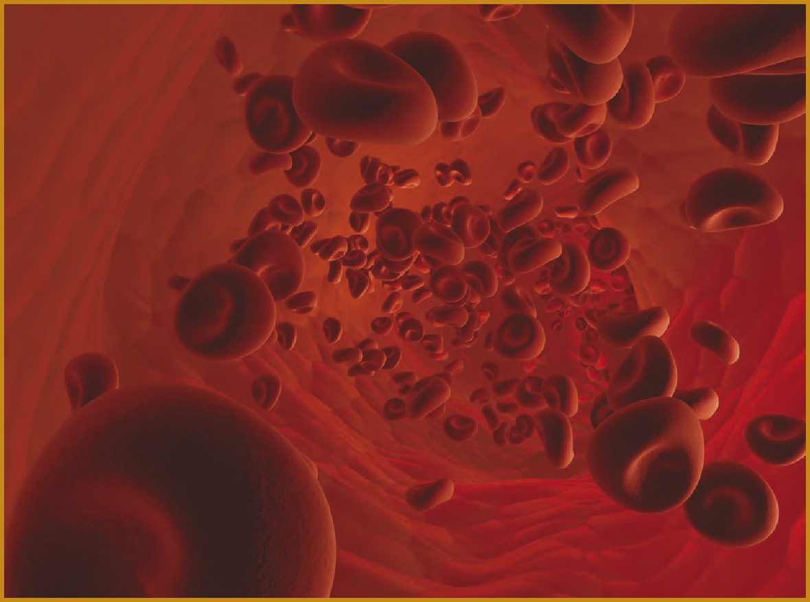 Red blood cells are shaped like disks with slight depressions in their center - photo 3