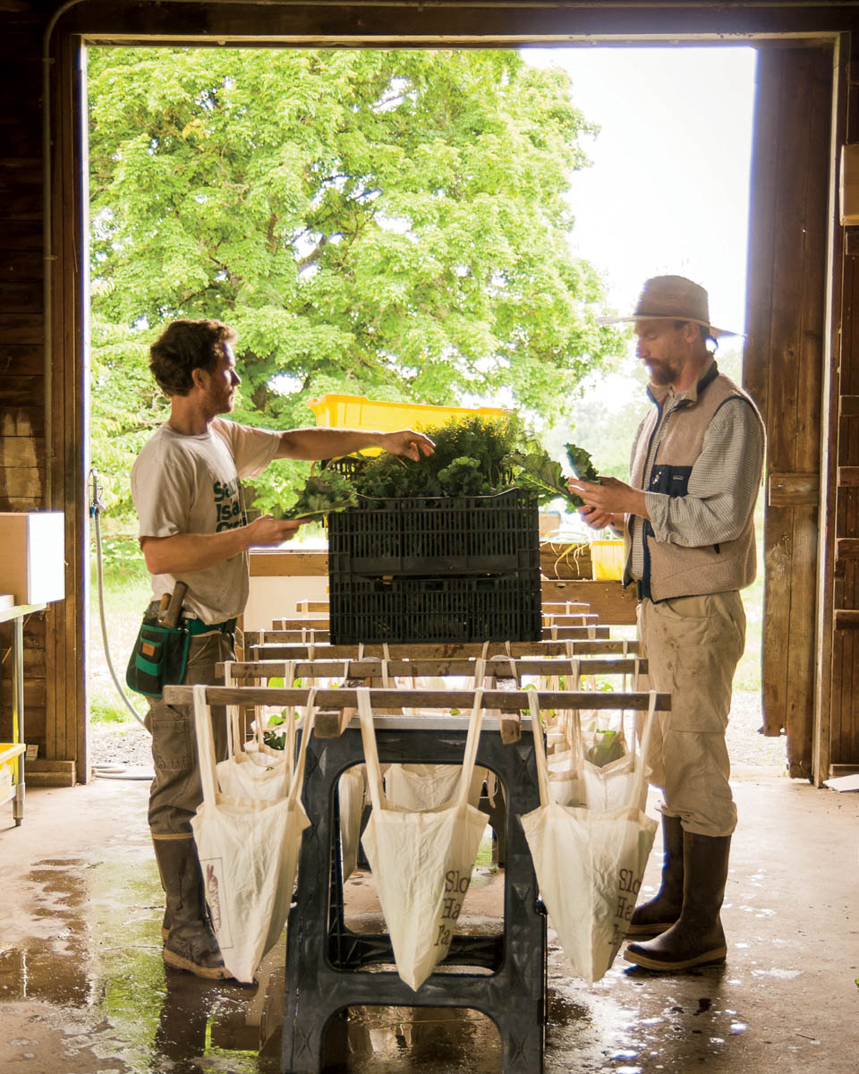 Kji and Josh packing CSA shares at Slow Hand Farm Preface Small is - photo 4