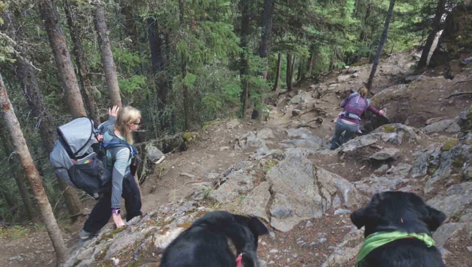 Prairie View Trail Moose and Crux the dogs at the crux Scrambling down this - photo 4