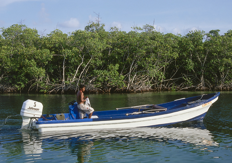 The placid lagoon enclosed by Cancn Island offers more tranquility than the - photo 7