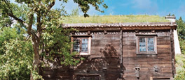 INTRODUCTION The green roof on top of this house at Riomaggiore Italy fits - photo 5