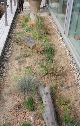 Even the smallest of spaces are suitable for greening Here a green roof for - photo 7