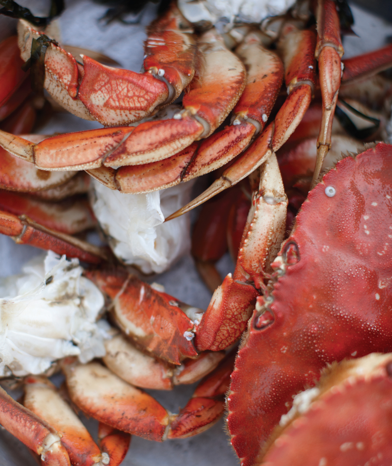 Crab 50 recipes with the fresh taste of the sea Cynthia Nims photographs by Jim Henkens - photo 2