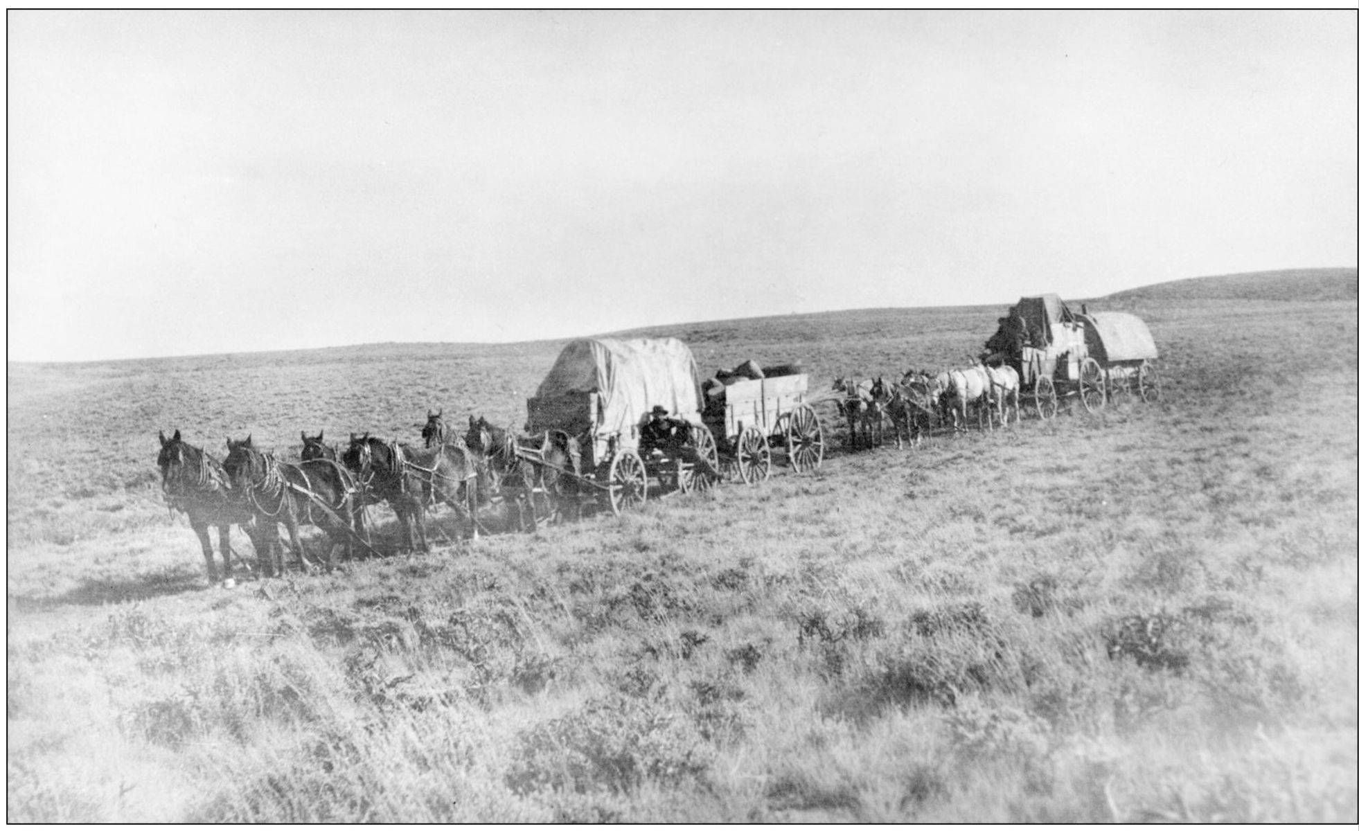 These freight wagons to Pinedale began their trip in Rock Springs Wyoming the - photo 6