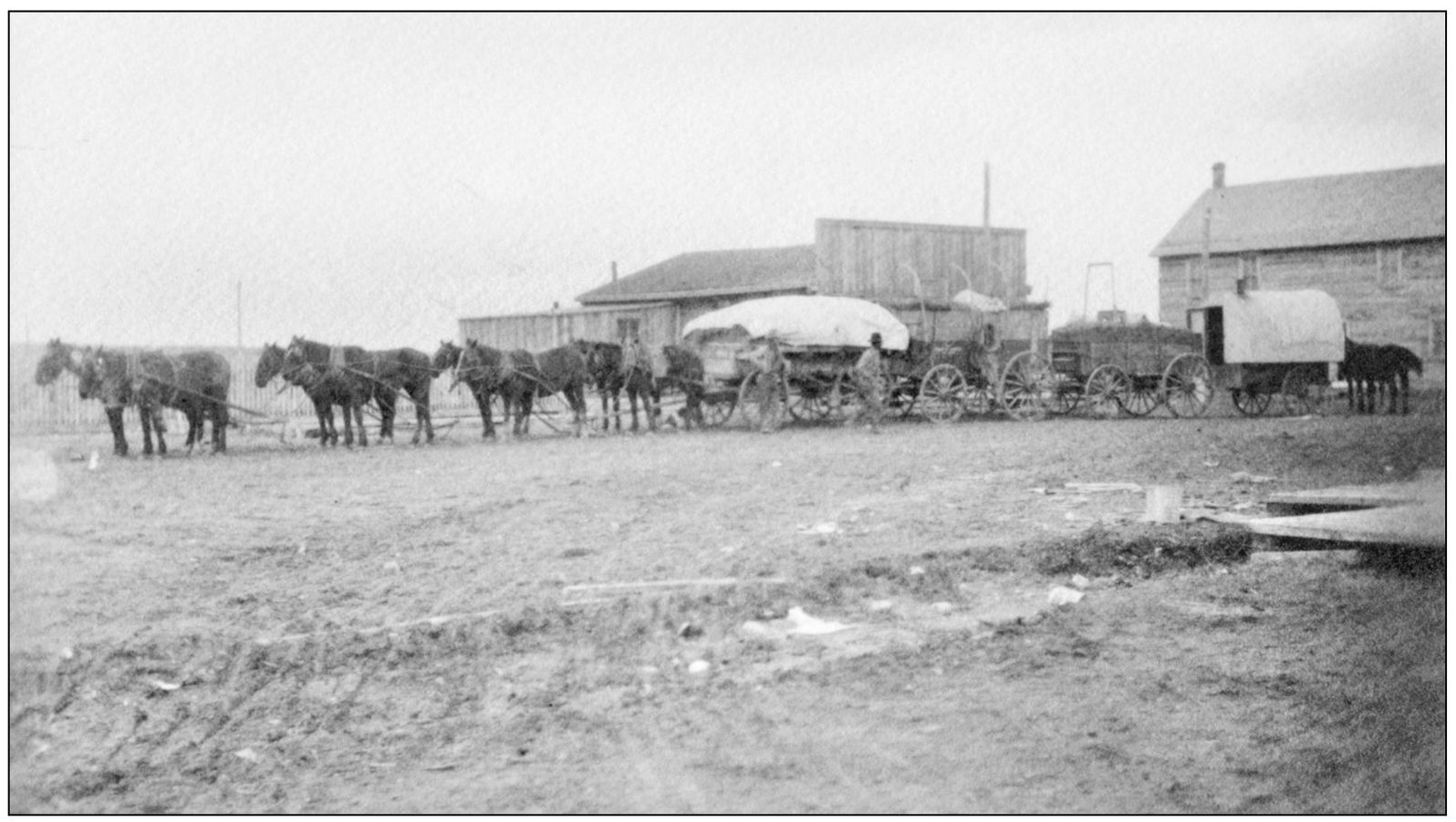 This eight-horse freight train is pulling three wagons plus the cooster It is - photo 10