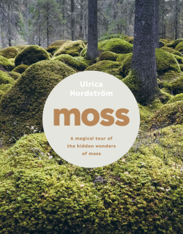 Nordstrom - Moss