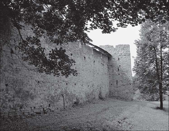 A wall and the Malaya Tower of Porkhov fortress The wall is topped with broad - photo 3