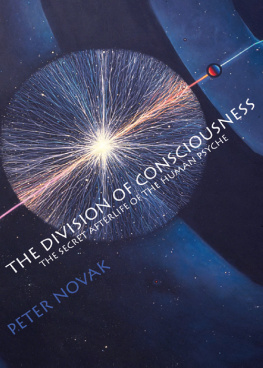 Novak - The division of consciousness: the secret afterlife of the human psyche
