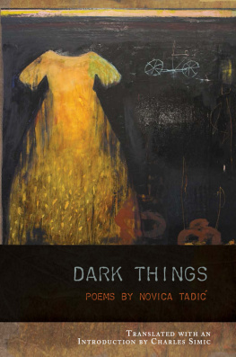 Novica Tadic Dark Things